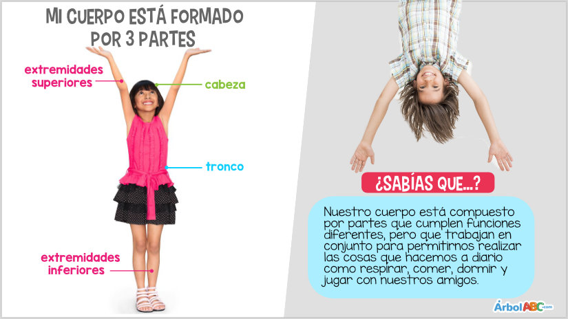 extremidades inferiores del cuerpo humano para niños